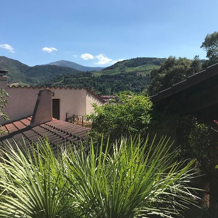 Apartamento Les Chenes-Lieges D'Ambeille Collioure Exterior foto