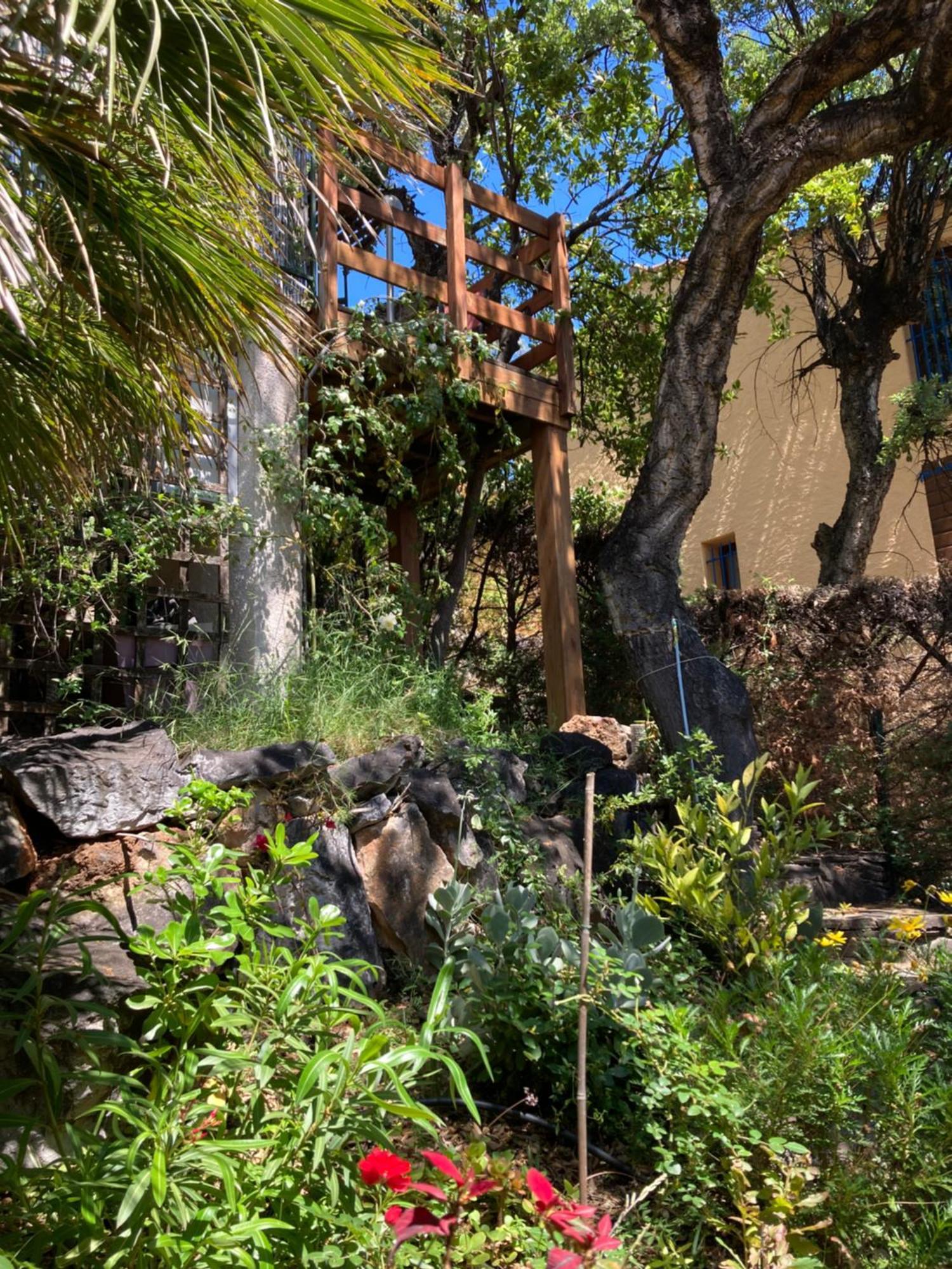Apartamento Les Chenes-Lieges D'Ambeille Collioure Exterior foto
